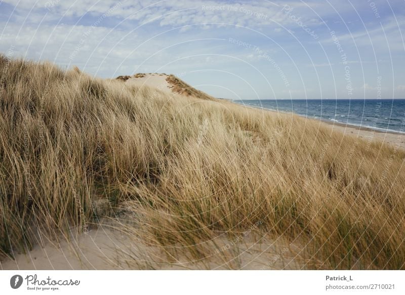 Kattegat Landschaft Sand Luft Wasser Himmel Gras Sträucher Wellen Küste Strand Ostsee genießen fantastisch frei Freundlichkeit Glück schön nachhaltig natürlich