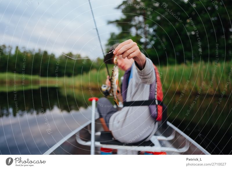 Barschalarm maskulin Junger Mann Jugendliche 1 Mensch 13-18 Jahre Landschaft Wasser Sträucher Wildpflanze Schilfrohr Tier Wildtier Fisch Tierjunges fangen