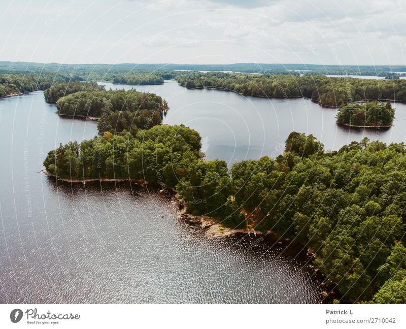Wasserwandern Umwelt Natur Landschaft Urelemente Sommer Baum Wald Seeufer Insel Schweden Menschenleer Kanusport Kanutour entdecken frei groß Unendlichkeit