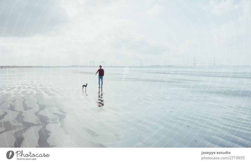 Der Mensch und sein kleiner Hund gehen am Strand spazieren. Lifestyle Erholung Winter Mann Erwachsene Freundschaft Natur Landschaft Sand Horizont Brücke