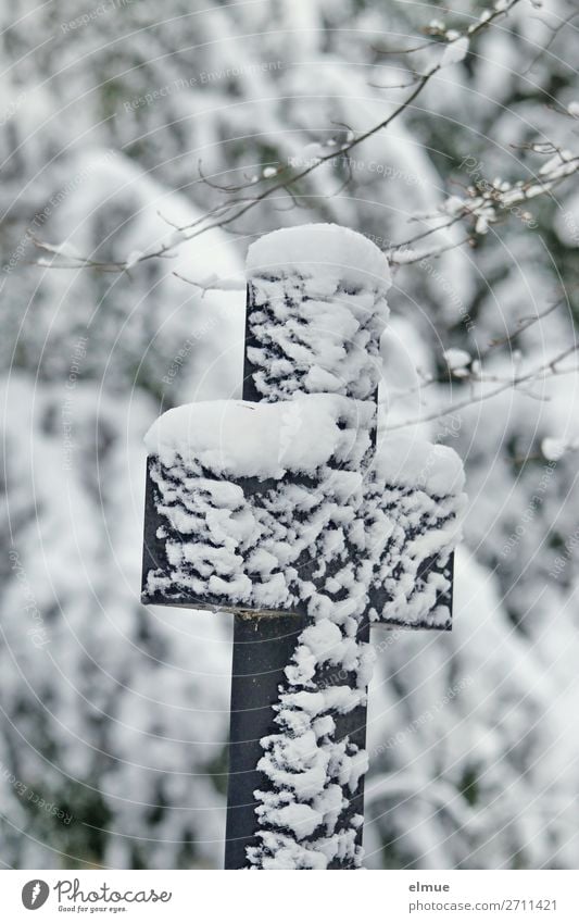 Trauerkreuz im Schnee Winter Eis Frost Stein Zeichen Kreuz alt Gefühle Ehre trösten ruhig Hoffnung Glaube Traurigkeit Tod Schmerz Einsamkeit Ende Tradition