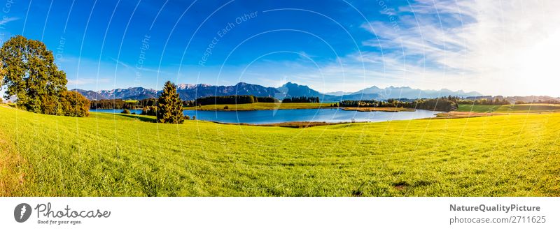 Panorama vom See - Bayern - Deutschland Sommer Land Alpen Wasser Hintergrund Park Weitwinkel Landschaft Umwelt im Freien Natur niemand Frühling panoramisch