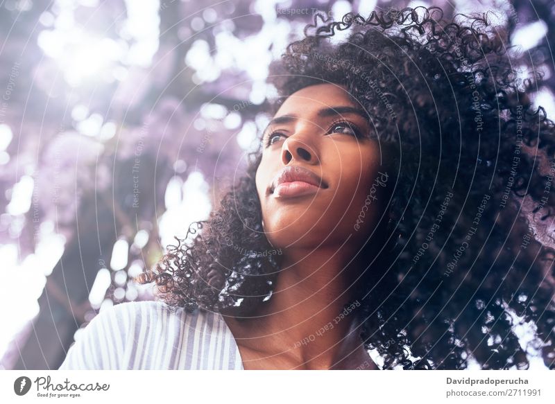 Nachdenkliche junge schwarze Frau, die von Blumen umgeben sitzt. Blüte Frühling Fliederbusch Porträt multiethnisch Afrikanisch Person gemischter Abstammung