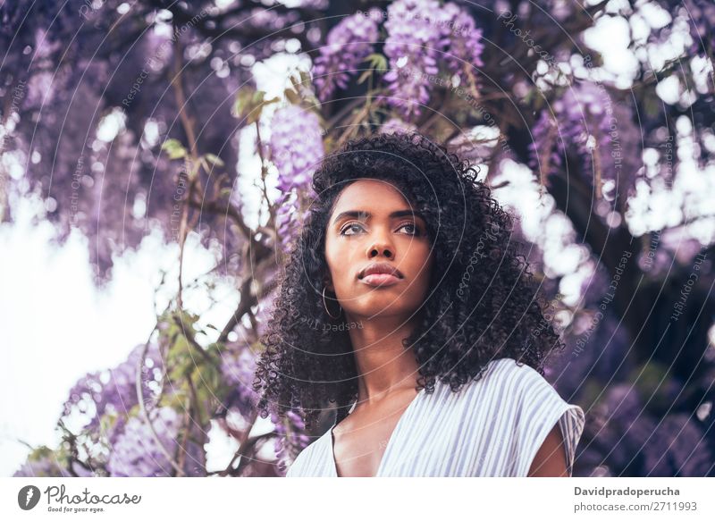 Nachdenkliche junge schwarze Frau, die von Blumen umgeben sitzt. Blüte Frühling Fliederbusch Porträt multiethnisch Afrikanisch Person gemischter Abstammung