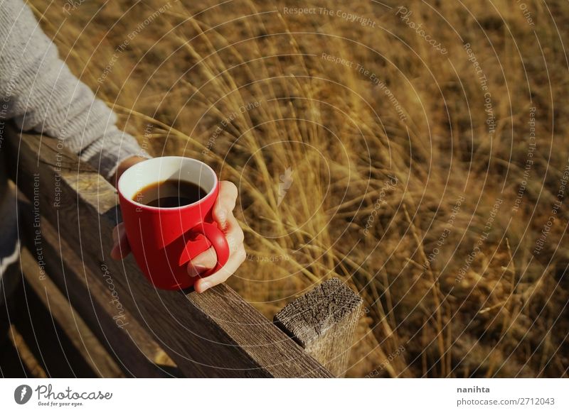 Eine Person, die eine Tasse Kaffee oder lösliches Getreide hält. Ernährung Frühstück Bioprodukte Getränk Heißgetränk Kakao Tee Lifestyle Gesundheitswesen