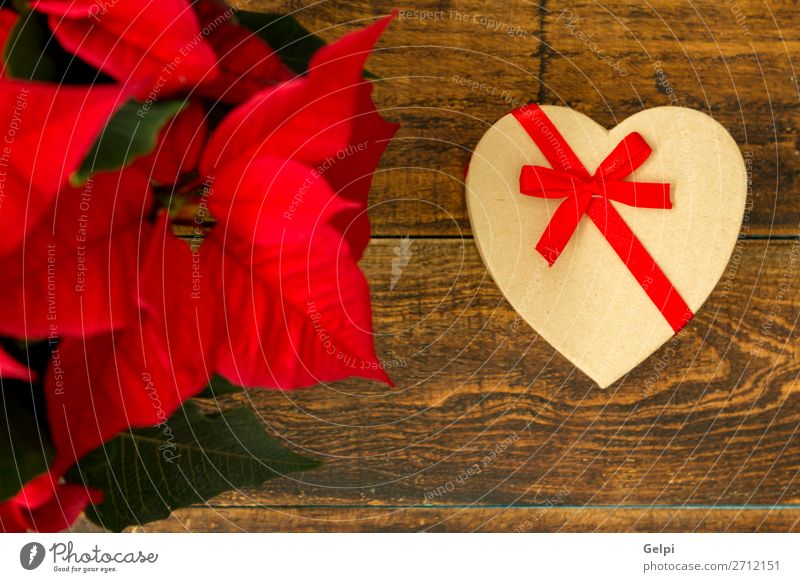 Präsentiert mit Herzform und saisonaler Pflanze mit roten Blättern. Design Glück Dekoration & Verzierung Tisch Feste & Feiern Weihnachten & Advent Hochzeit