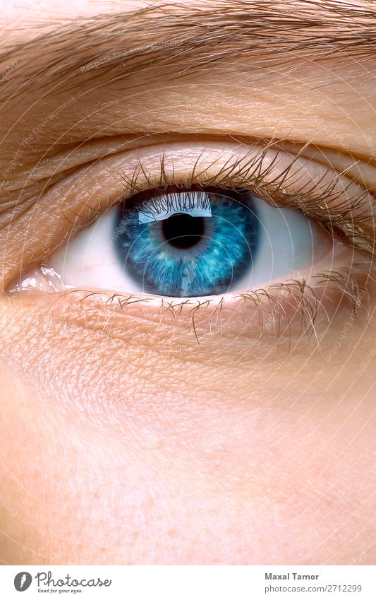 Makro des blauen Auges einer Frau Haut Erwachsene Augenbraue Wimpern Sehvermögen Mädchen Schillerndes irisierend Ophthalmologie optisch Lichtbrechung Aussehen