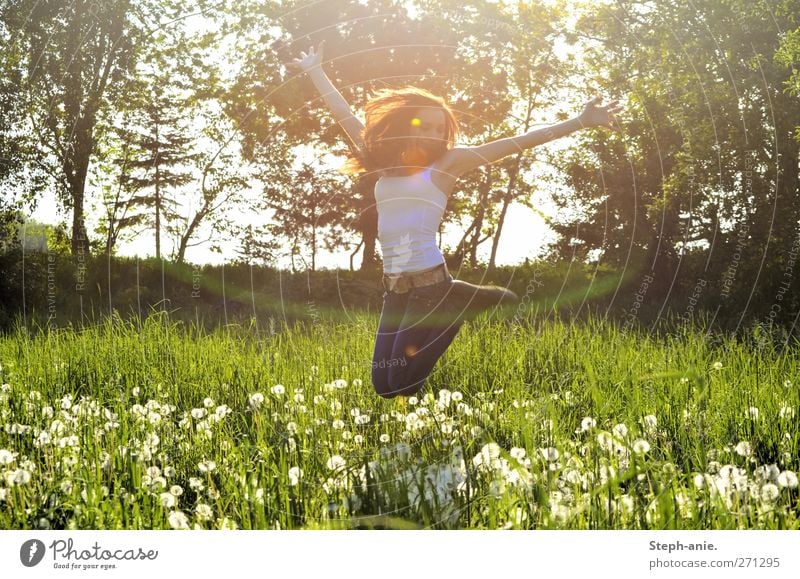 Pusteblumenwiesenfreuden feminin Junge Frau Jugendliche Erwachsene Körper 1 Mensch Natur Pflanze Frühling Baum Gras Wiese genießen springen Fröhlichkeit Glück