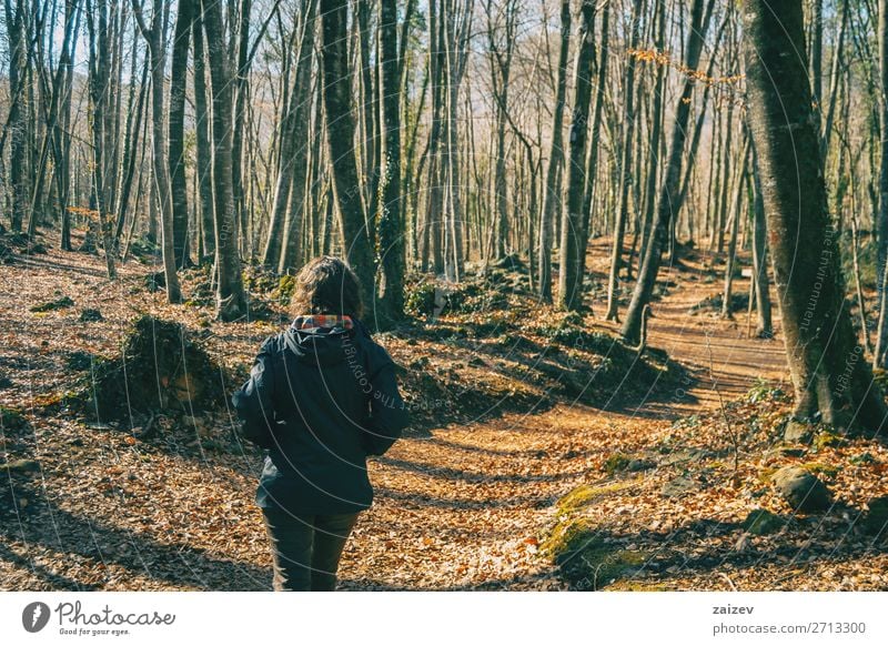 Eine junge Frau von hinten beim Spaziergang in einem Herbstwald. schön Erholung Meditation Ferien & Urlaub & Reisen Tourismus Abenteuer wandern Mensch