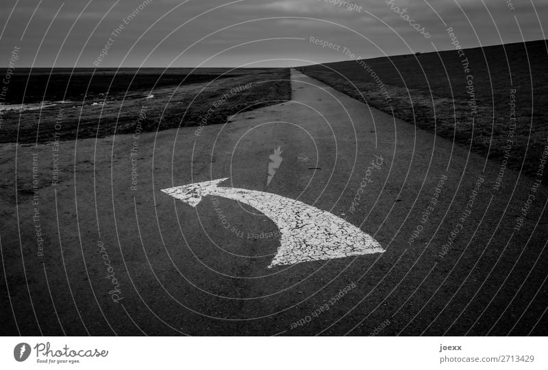 Entscheidung Landschaft Verkehrswege Straße Wege & Pfade Pfeil retro schwarz weiß Horizont Linkspfeil abbiegen Schilder & Markierungen geradeaus Schwarzweißfoto