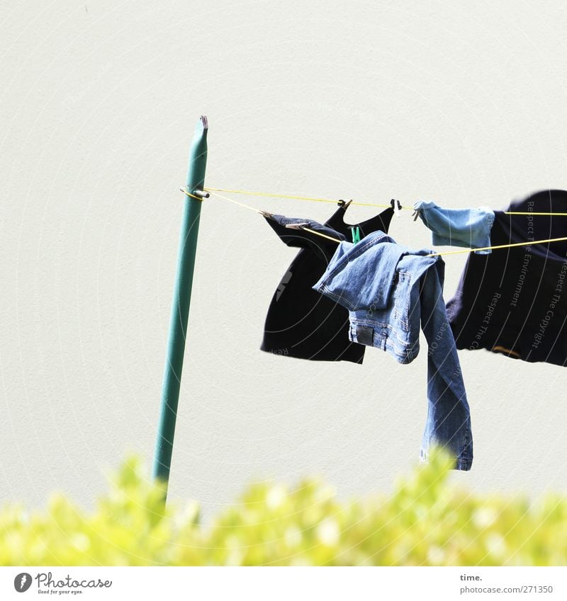 Hiddensee | air conditioned Frühling Schönes Wetter Hecke Garten T-Shirt Jeanshose Wäsche Wäscheleine Metall fliegen hängen frisch wild Kommunizieren