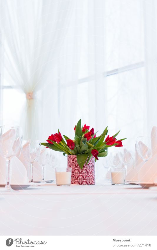 Tulpen auf dem Tisch Geschirr Glas Lifestyle elegant Design Freude Häusliches Leben Traumhaus Innenarchitektur Dekoration & Verzierung Möbel Veranstaltung