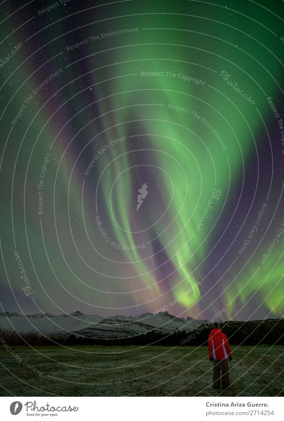 Nordlicht in Island Aurora Winter Außenaufnahme Nacht Naturphänomene Astrologie Ferien & Urlaub & Reisen Himmel Farbfoto grün