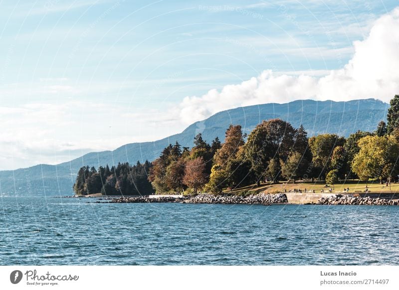 Stanley Park und das Meer in Vancouver, Kanada Sommer Strand Umwelt Natur Sand Himmel Baum Blatt Felsen Küste Skyline Abenteuer Erholung