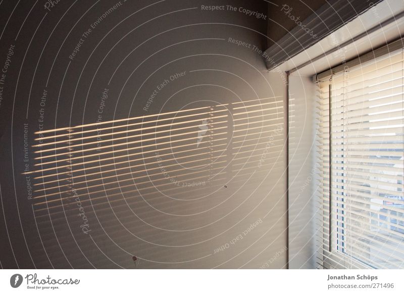 Lichteinfall Mauer Wand ästhetisch Raum Fenster Jalousie Nachmittagssonne Wohnung kahl minimalistisch leer Leerstand Fensterrahmen Schatten Schattenspiel