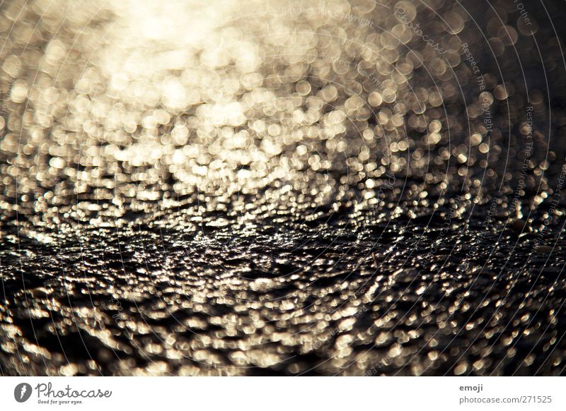 RegeNass Klima Klimawandel Regen Stein Beton gold schwarz glänzend Straße Straßenbelag Farbfoto Außenaufnahme Detailaufnahme Makroaufnahme Menschenleer Tag