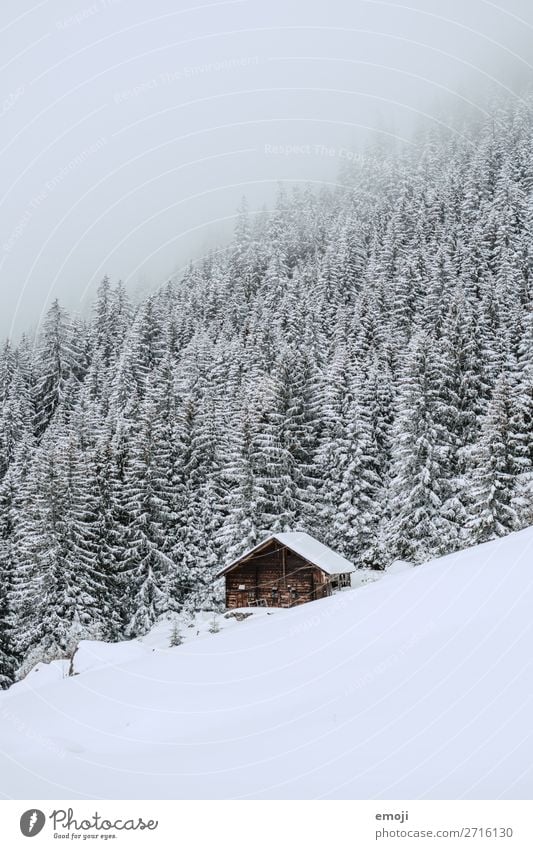 Arnisee XVII Umwelt Natur Landschaft Winter schlechtes Wetter Schnee Baum Nebel Berge u. Gebirge See außergewöhnlich natürlich weiß Tourismus ruhig Schweiz
