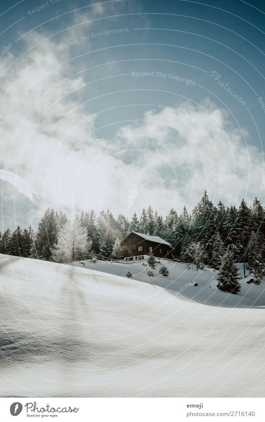 Arnisee XVI Umwelt Natur Landschaft Winter Schönes Wetter Schnee Baum Berge u. Gebirge See außergewöhnlich natürlich blau weiß Tourismus ruhig Schweiz Ausflug