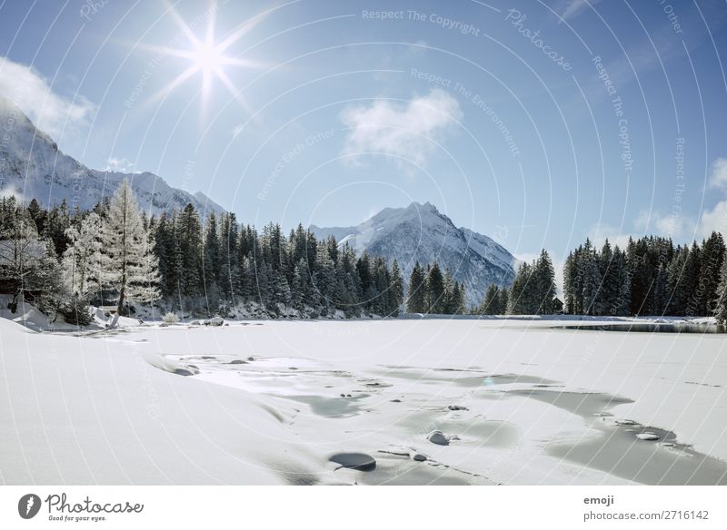 Arnisee XI Umwelt Natur Landschaft Winter Schönes Wetter Schnee Baum Berge u. Gebirge See außergewöhnlich natürlich blau weiß Tourismus ruhig Gebirgssee Schweiz