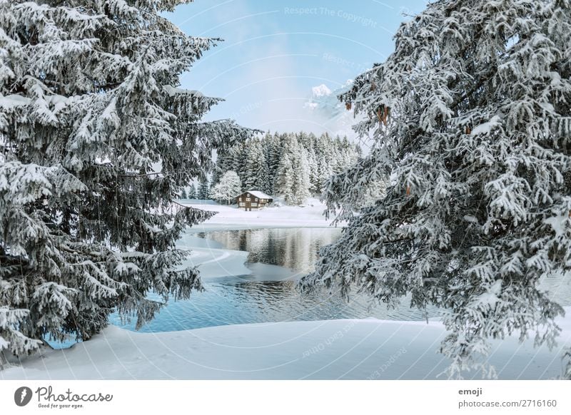 Arnisee I Umwelt Natur Landschaft Winter Schönes Wetter Schnee Baum Berge u. Gebirge See außergewöhnlich natürlich blau weiß Tourismus ruhig Gebirgssee Schweiz