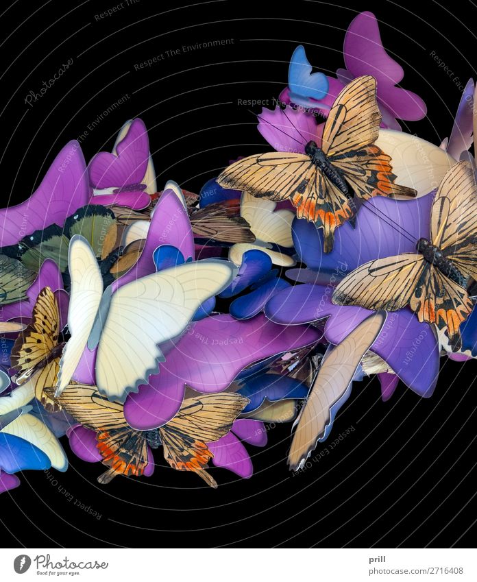 colorful butterfly ornament schön Dekoration & Verzierung Tier Schmetterling Papier Ornament Zusammensein viele blau braun violett Insekt überfüllt