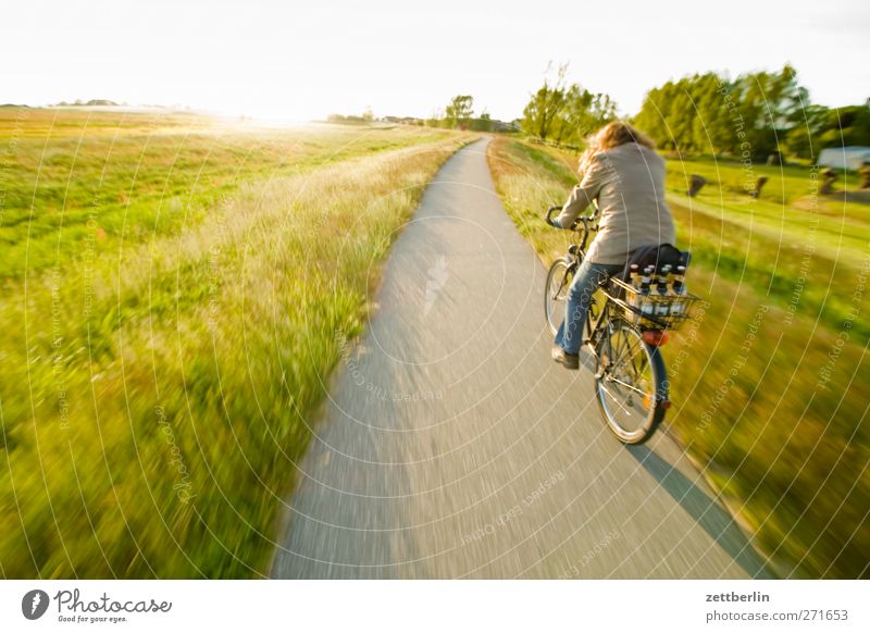 Heimfahrt Freizeit & Hobby Ausflug Ferne Fahrradtour Sommer Fahrradfahren Frau Erwachsene Rücken Umwelt Natur Landschaft Himmel Horizont Wiese Ostsee Optimismus