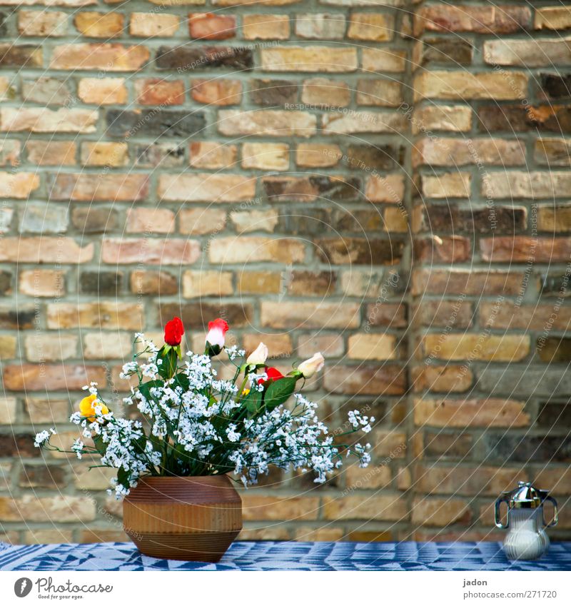 AST 5 | mauerblümchen mit zucker Kaffeetrinken Zuckerdose Reichtum elegant Stil Design Ausflug Restaurant Strandbar Pflanze Blume Tulpe Mauer Wand Stein Glas