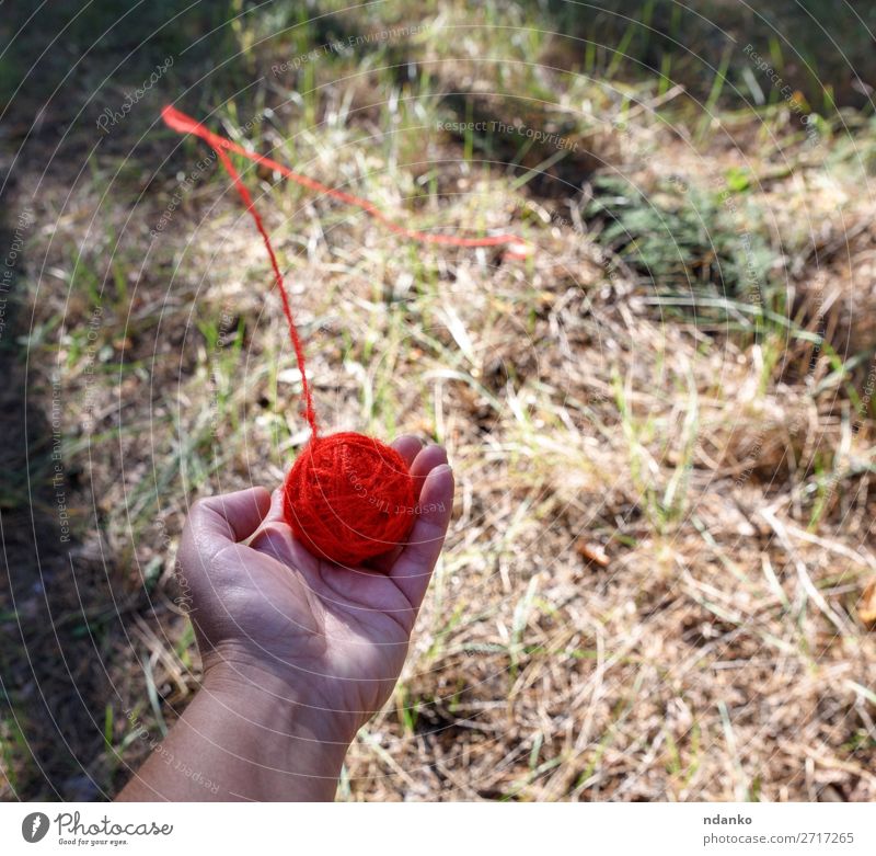 runder roter Wollball Hand Natur Wald drehen werfen hell Hilfsbereitschaft Farbe Hoffnung Problemlösung Faser Handfläche Halt Top Wolle Erde Boden ziehen links