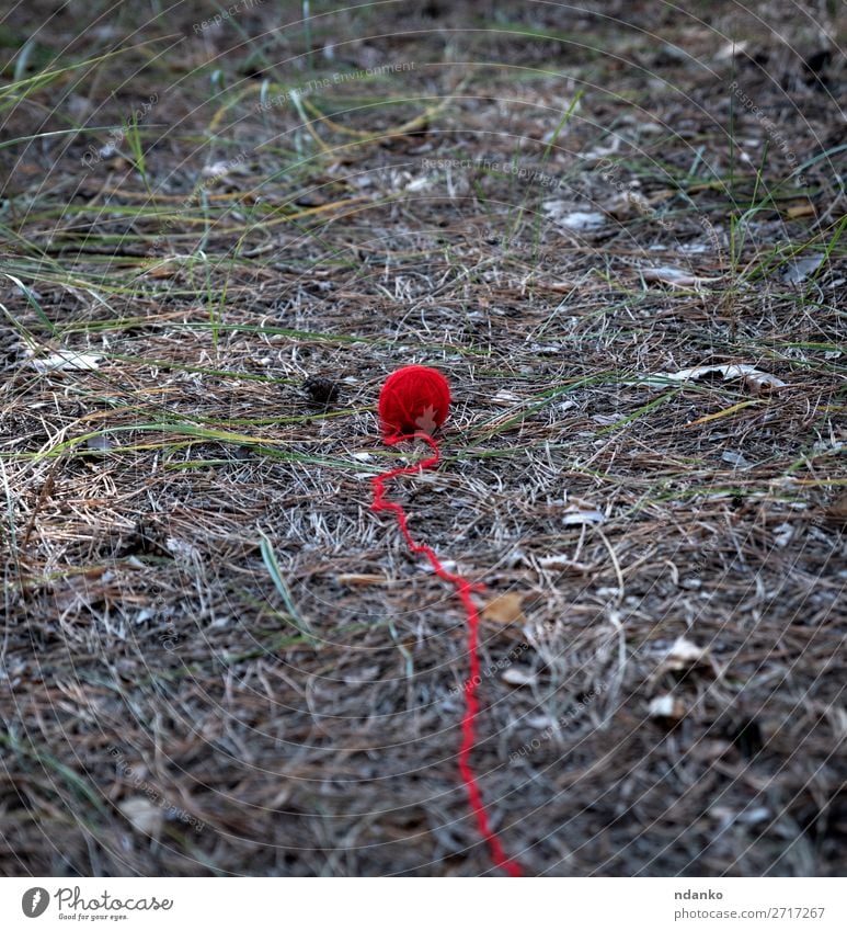 kleiner roter Wollball, der mitten im Wald abgewickelt wurde. Sommer Seil Natur Gras Straße Bewegung grün Sehnsucht Hilfsbereitschaft Hoffnung Idee Schlaufe