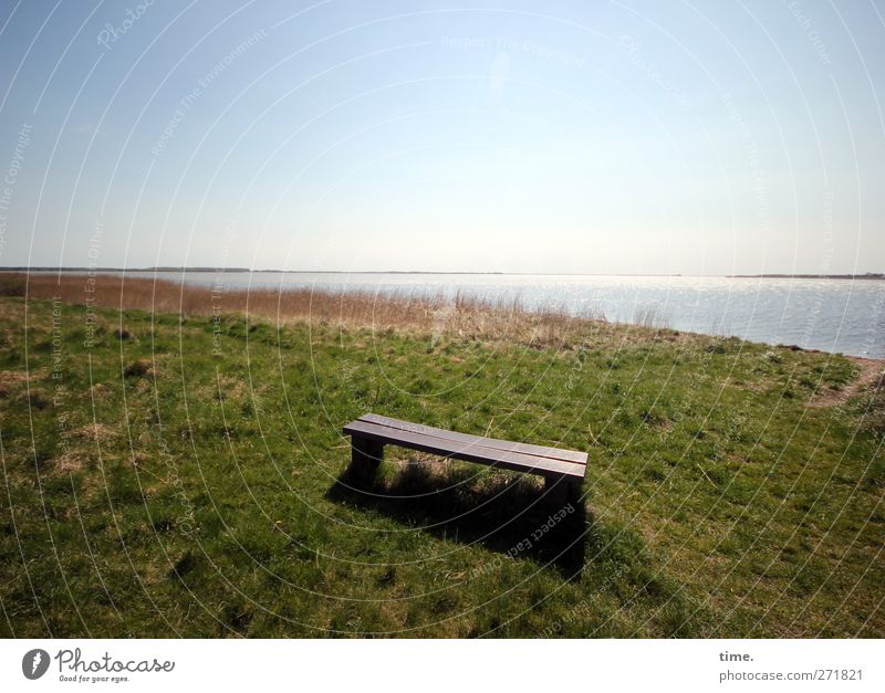 Hiddensee | es gibt immer einen Platz für dich Umwelt Natur Landschaft Himmel Horizont Gras Wiese Küste Sitzgelegenheit Bank Stimmung Zufriedenheit Vertrauen