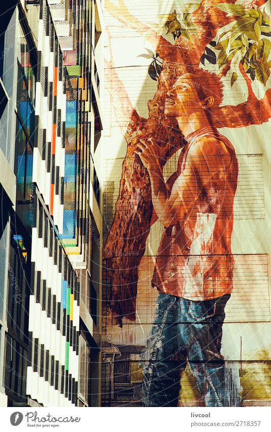 Mann mit einem Baum, Graffiti-Melbourne Lifestyle elegant Stil Design Tourismus Haus Erwachsene Kunst Kleinstadt Stadt Altstadt bevölkert Gebäude Fassade