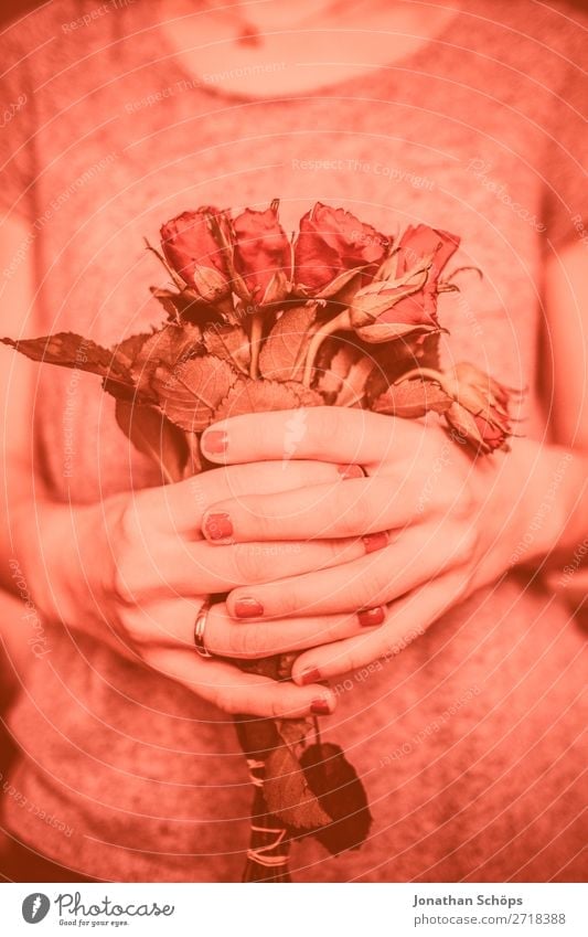 junge Frau schenkt rote Rosen zum Valentinstag Blume Verabredung Farbe des Jahres Freude Freundschaft Frühlingsgefühle Gefühle Geschenk Hand Korallen Liebe