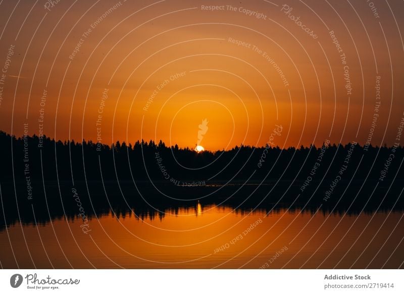Goldener Sonnenuntergang über dem ruhigen See dunkel Silhouette Reflexion & Spiegelung Oberfläche romantisch Natur Jahreszeiten Landschaft Beautyfotografie