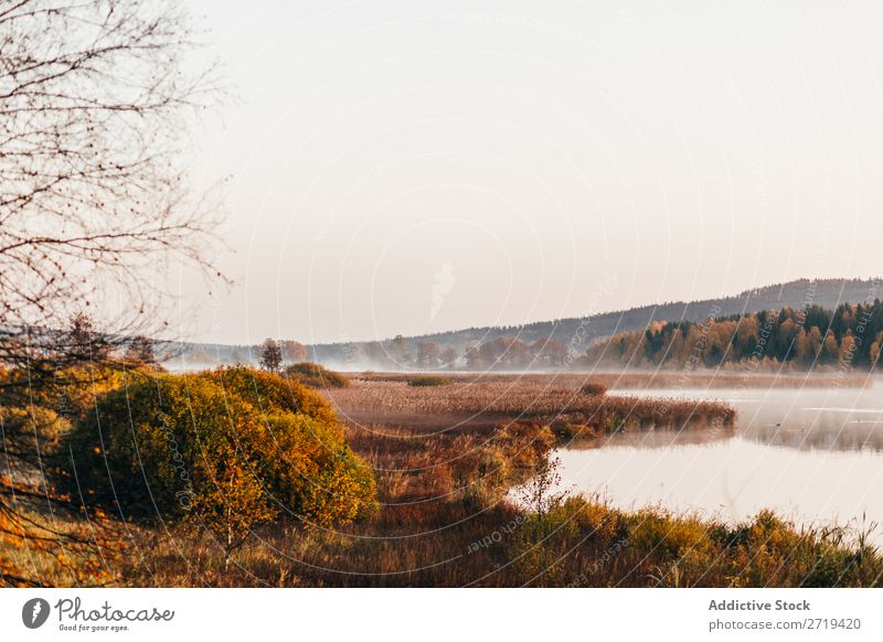 Morgendliche Nebelschwaden über dem See Landschaft Herbst Dunst Stille ruhig Tourismus wunderbar Natur Beautyfotografie Sonnenlicht Außenaufnahme Seeufer