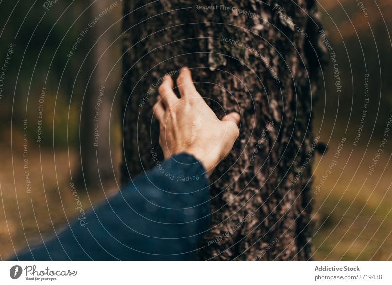 Getreidemann berührt Baumrinde Mann harmonisch Konsistenz rau berühren Wald Natur Barke Umwelt natürlich wild Rüssel Hand braun Frieden Erhaltung