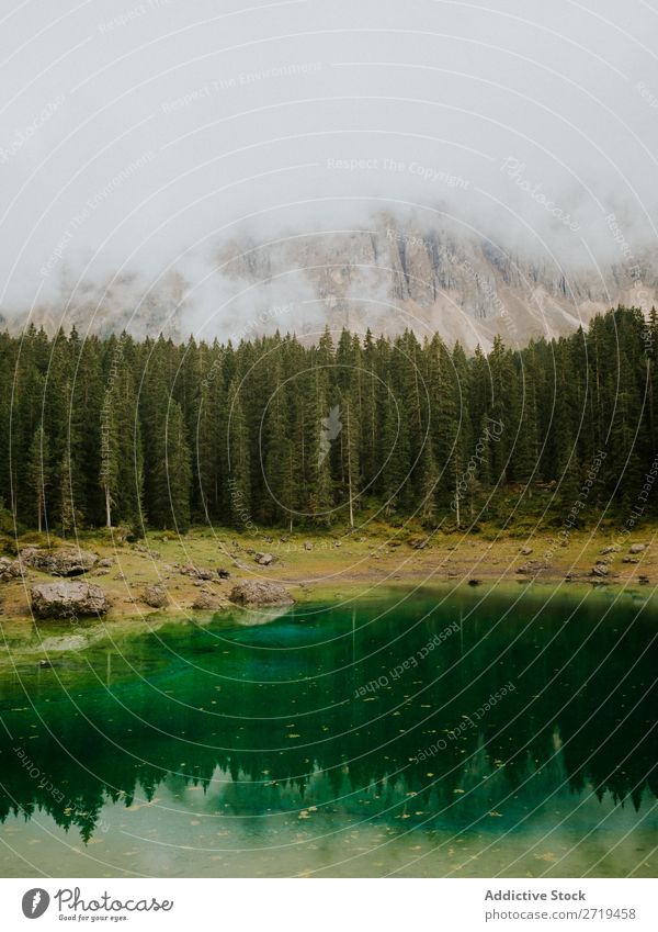 Landschaft mit immergrünen Bäumen in den Dolomiten, Italien nadelhaltig Teich Berge u. Gebirge Reflexion & Spiegelung Immergrün ruhig Kiefer Wasser Stausee See
