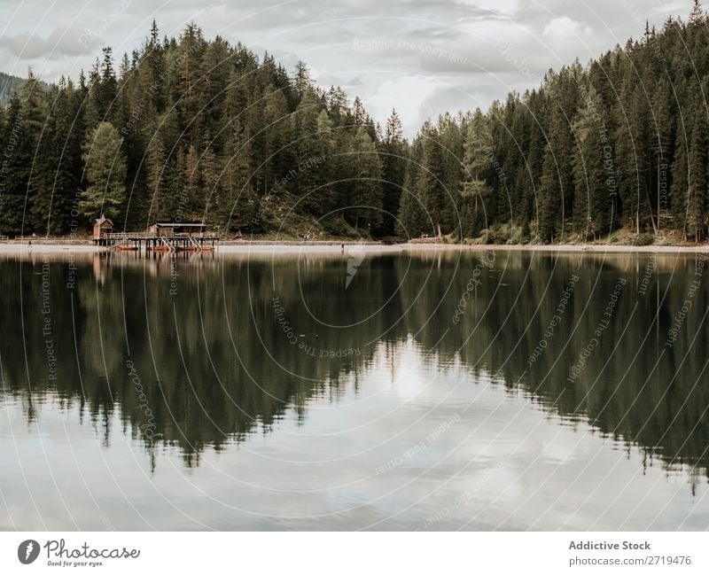 Blick auf See und Wald Haus Dock Berge u. Gebirge Gelassenheit Holz Wasser Baum Landschaft Reflexion & Spiegelung nadelhaltig Außenaufnahme