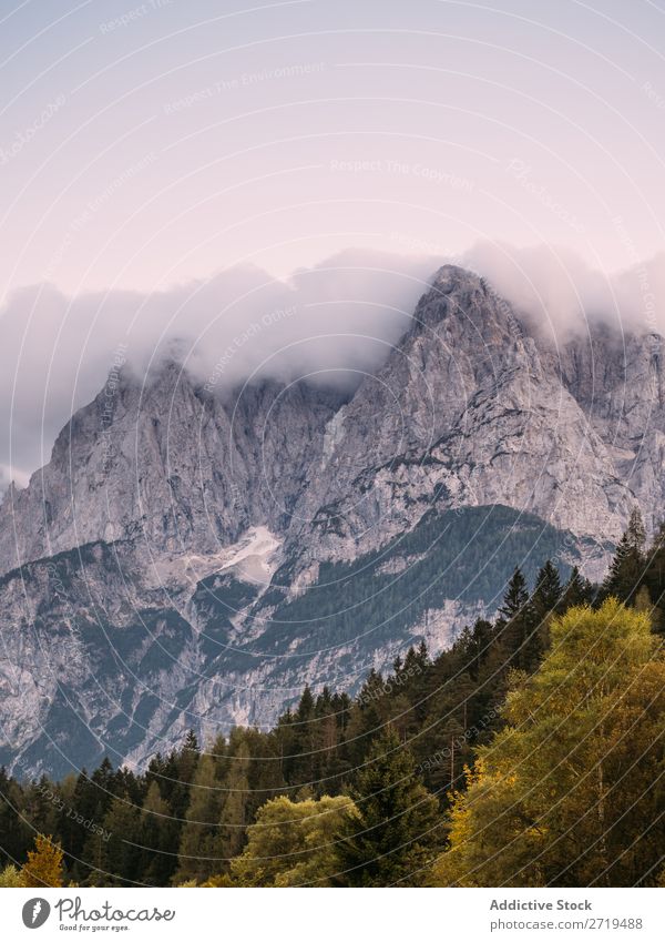 Malerische Aussicht auf die felsigen Berge Berge u. Gebirge nadelhaltig Nebel Landschaft Felsen Umwelt atmosphärisch Dunst natürlich Wald