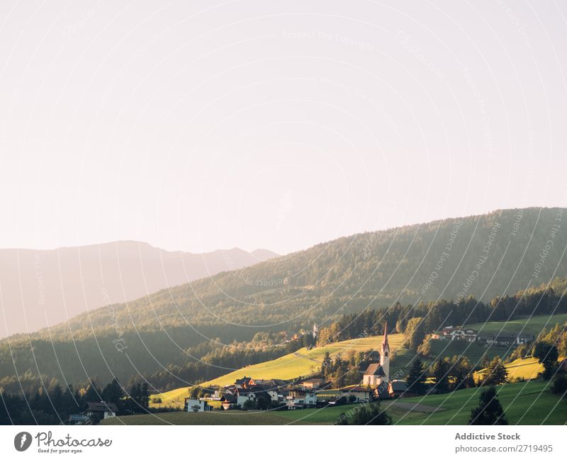 Dorf am Hang der Berge Berge u. Gebirge Sonnenlicht Natur Landschaft Sommer Wald Ferien & Urlaub & Reisen grün Morgen Panorama (Bildformat) natürlich Tal