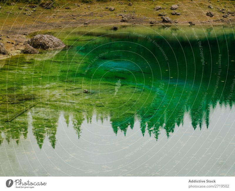 Spiegelung von Bäumen im Wasser in den Dolomiten, Italien nadelhaltig Teich Reflexion & Spiegelung See Landschaft grün Immergrün ruhig Kiefer Stausee natürlich