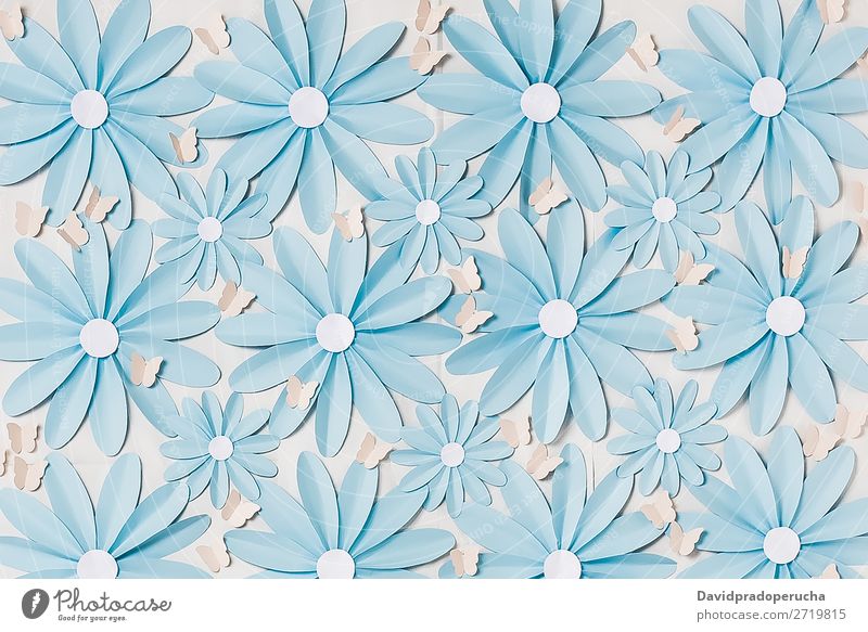 Blumen Hintergrund Fotowand abstrakt Gänseblümchen Blütenblatt selbstgemacht Dekor Papier Tapete Hintergrundbild Handwerke Strukturen & Formen Ornament