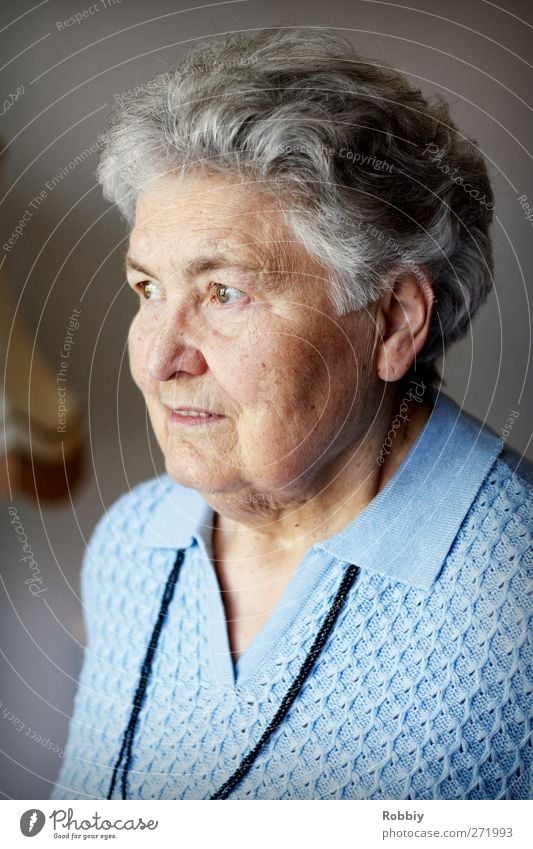 Großmütterchen II feminin Frau Erwachsene Weiblicher Senior Großmutter 1 Mensch 60 und älter Blick alt authentisch blau grau seriös Farbfoto Innenaufnahme Tag