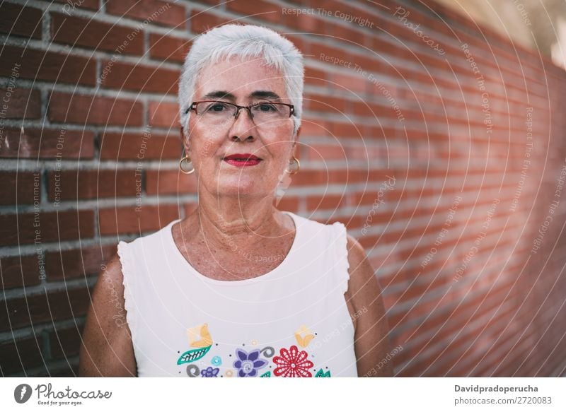 Porträt einer älteren Frau graue Haare alt Beautyfotografie in den Ruhestand getreten Mensch Senior Erholung niedlich attraktiv horizontal hübsch Brillenträger