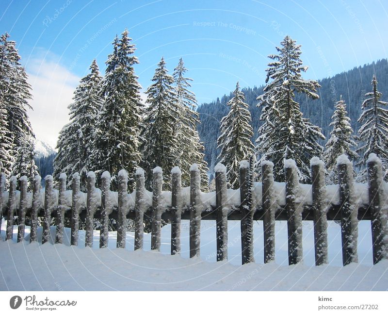 Winterzauber Zaun Tanne Baum Schweiz kalt Schneelandschaft Berge u. Gebirge Himmel