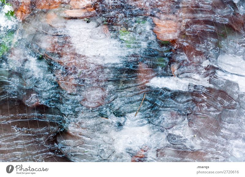 Versiegelt Winter Winterurlaub Natur Eis Frost Pflanze Wiese kalt Farbfoto Außenaufnahme Strukturen & Formen Menschenleer Textfreiraum links Textfreiraum rechts