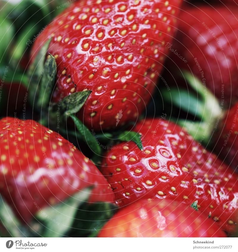 Sommersnack Lebensmittel Frucht Ernährung Bioprodukte Natur füttern leuchten Erdbeeren Snack Gesundheit frisch lecker rot grün saftig fruchtig Farbfoto