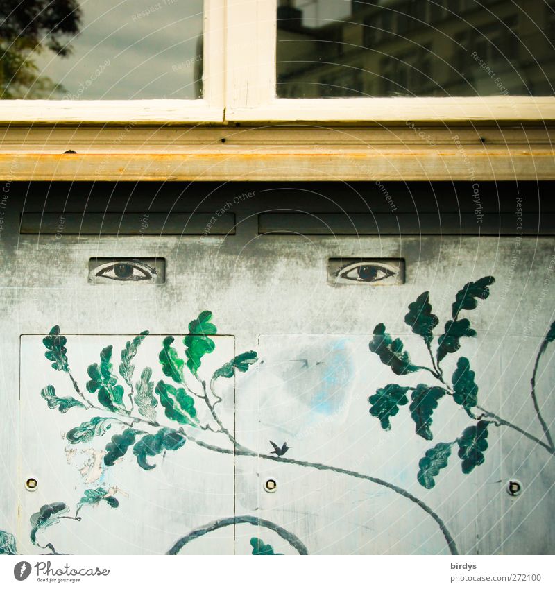 Sehende Wände Gemälde Pflanze Blatt Fassade Fenster Blick außergewöhnlich lustig Kreativität Stil Wandmalereien Auge Fensterbrett Gesichtsausdruck