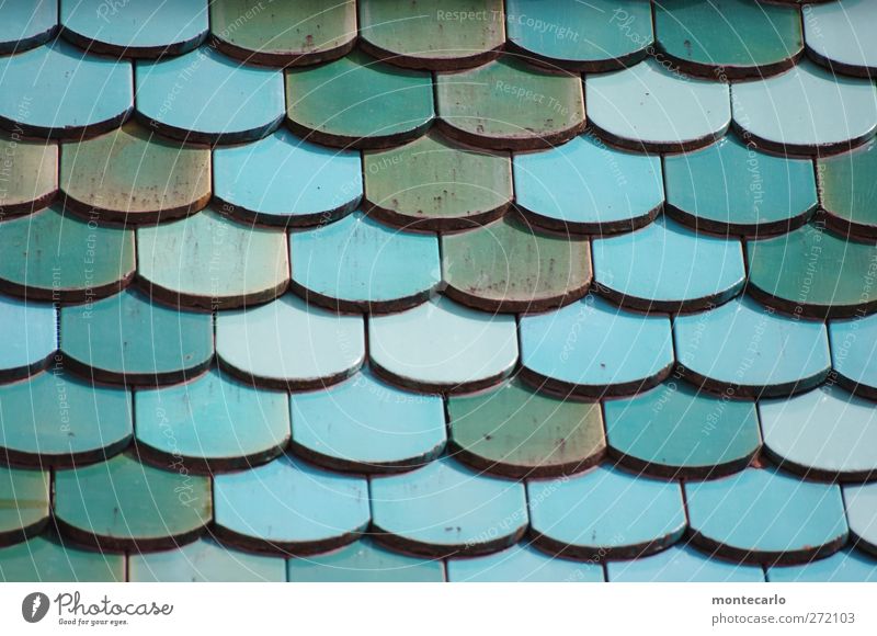 Des Pfarrers Vordach Dorf bevölkert Haus Dach Backstein authentisch einfach verrückt blau mehrfarbig silber türkis Kreativität Farbfoto Außenaufnahme