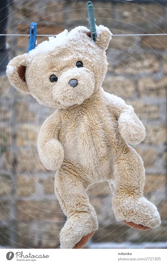 alter Teddybär, der an einer Wäscheleine hängt. Freude Winter Schnee Kind Spielzeug Linie Spielen frisch niedlich retro Sauberkeit braun weiß Einsamkeit Bär