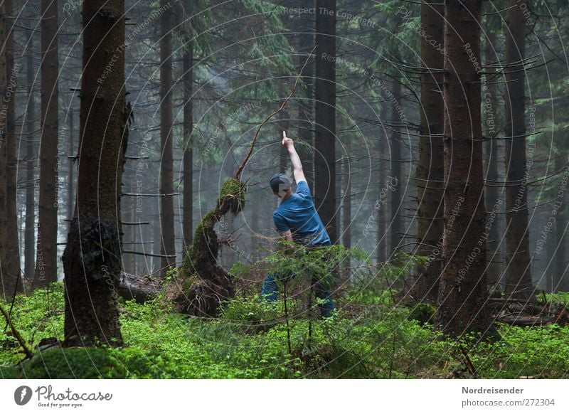 Weltenbummler.... exotisch Sinnesorgane Meditation Zeitmaschine Fortschritt Zukunft Mensch Mann Erwachsene Nebel Baum Wald Mütze Helm beobachten Kommunizieren